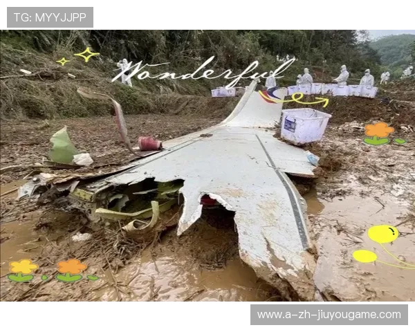 坠机事件更多细节披露，警方介入调查，坠机现场