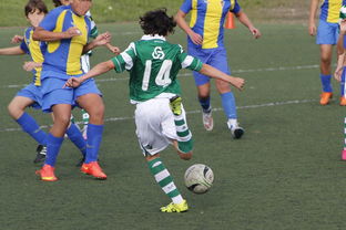 九游官方入口-体育纪录片内容更加丰富，体育纪录片主题